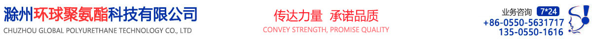 滁州環(huán)球聚氨酯科技有限公司